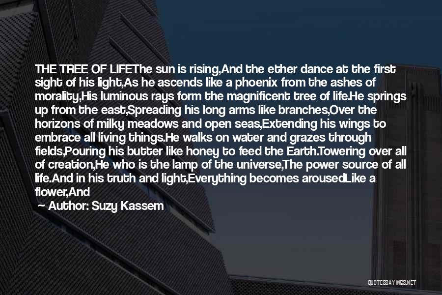 Life Is Like A Dance Quotes By Suzy Kassem