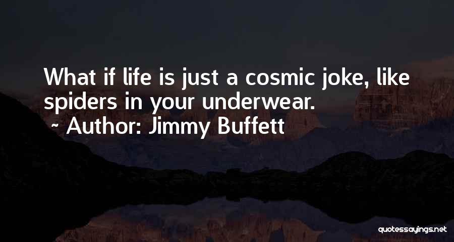 Life Is Like A Joke Quotes By Jimmy Buffett