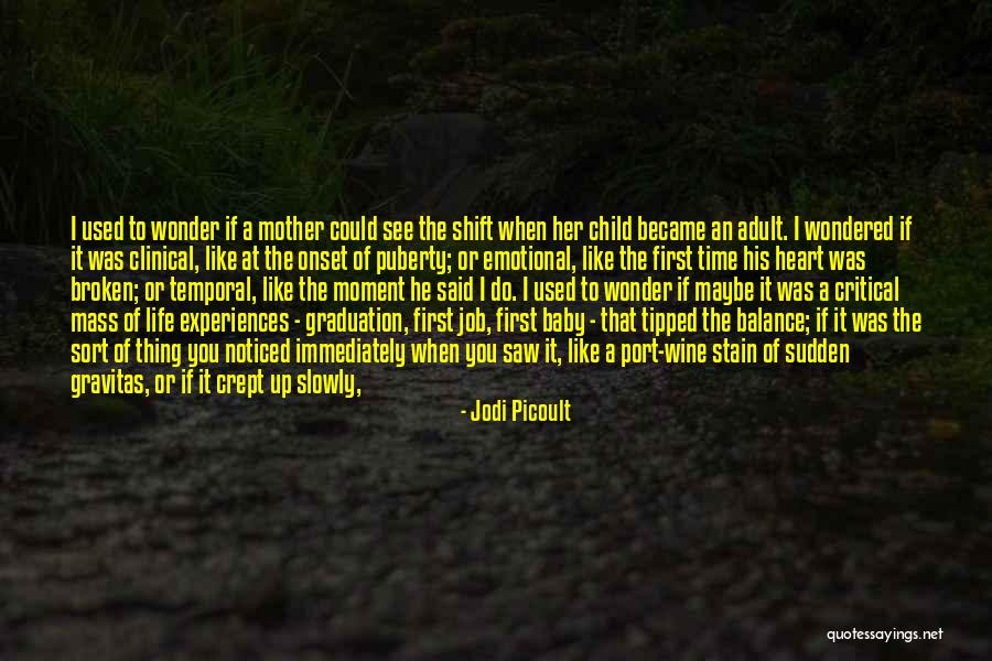 Life Is Like A Mirror Quotes By Jodi Picoult