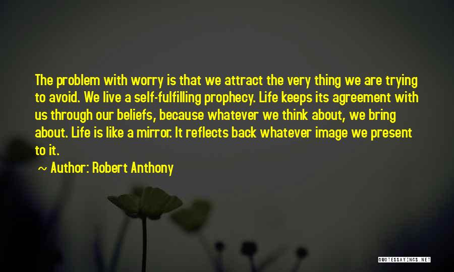 Life Is Like A Mirror Quotes By Robert Anthony