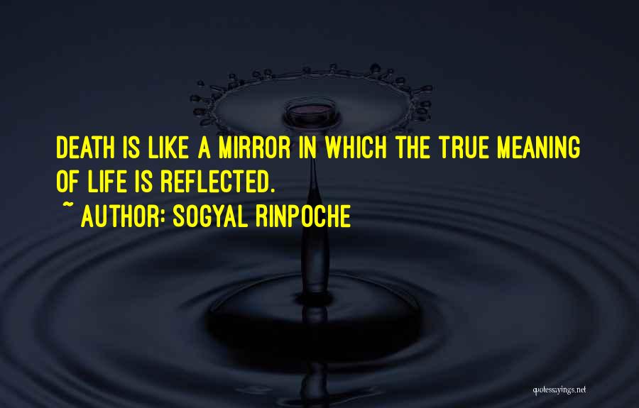 Life Is Like A Mirror Quotes By Sogyal Rinpoche