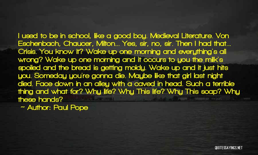 Life Is Like A School Quotes By Paul Pope