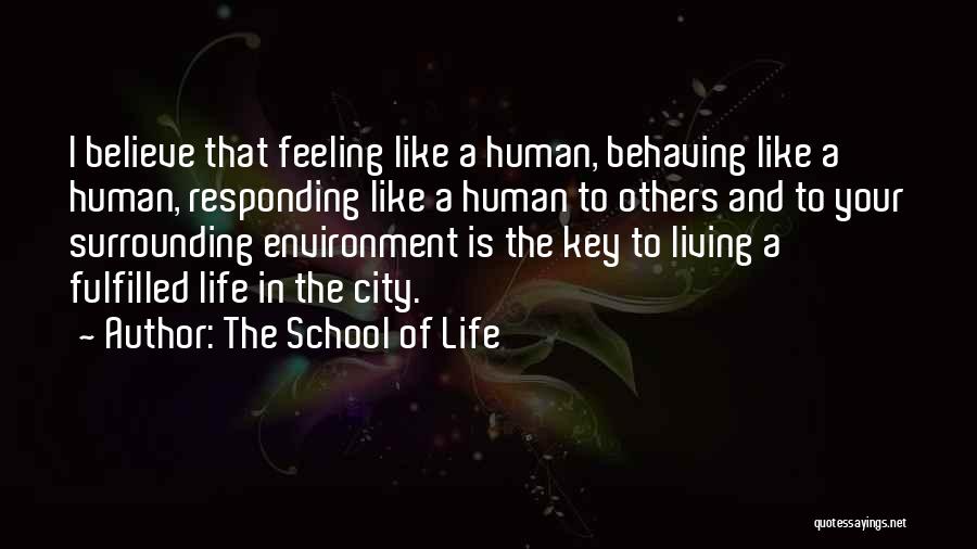 Life Is Like A School Quotes By The School Of Life