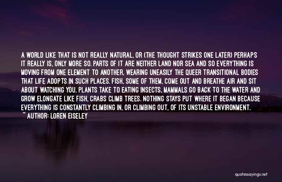 Life Is Like A Sea Quotes By Loren Eiseley