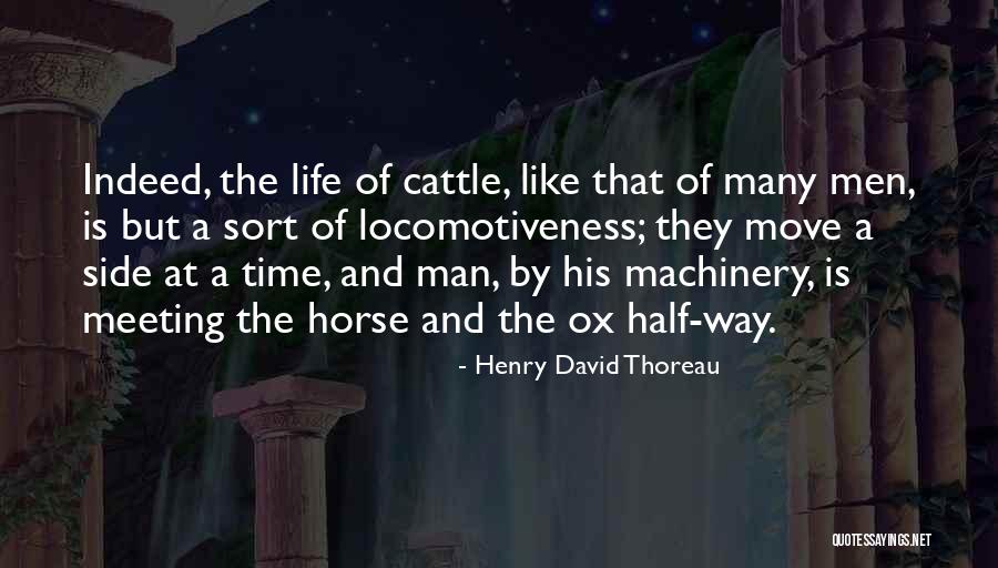 Life Is Like Quotes By Henry David Thoreau