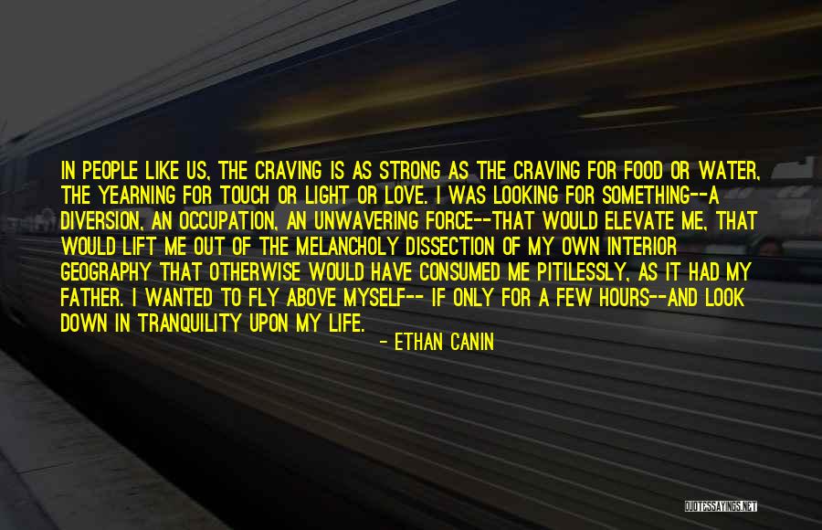 Life Is Like Water Quotes By Ethan Canin