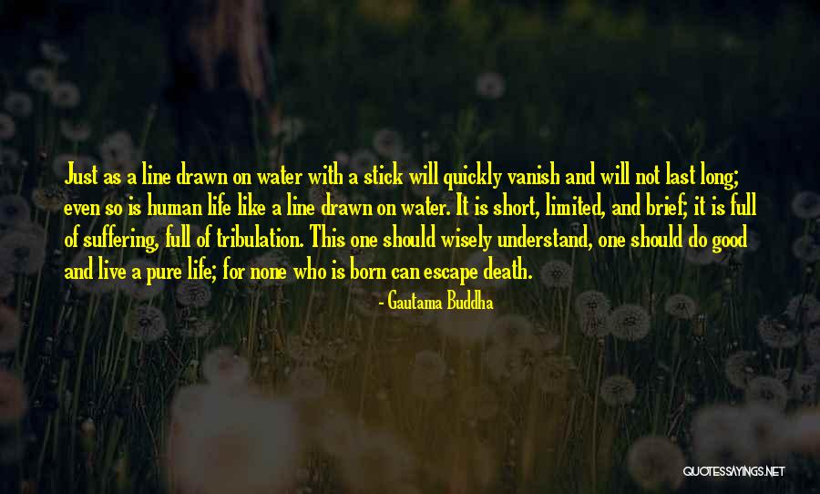 Life Is Like Water Quotes By Gautama Buddha