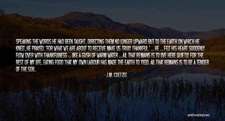 Life Is Like Water Quotes By J.M. Coetzee