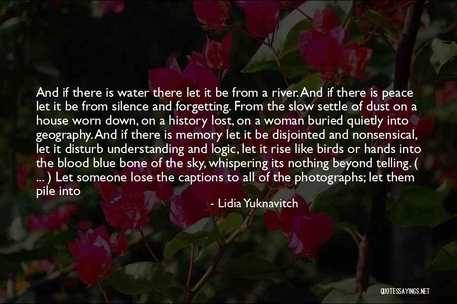 Life Is Like Water Quotes By Lidia Yuknavitch