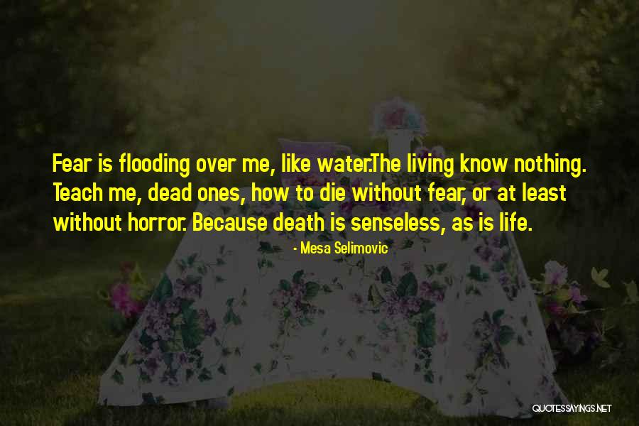 Life Is Like Water Quotes By Mesa Selimovic