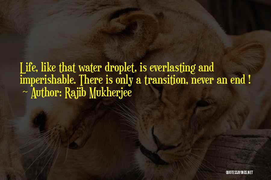 Life Is Like Water Quotes By Rajib Mukherjee