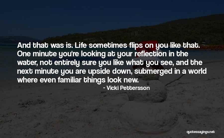 Life Is Like Water Quotes By Vicki Pettersson