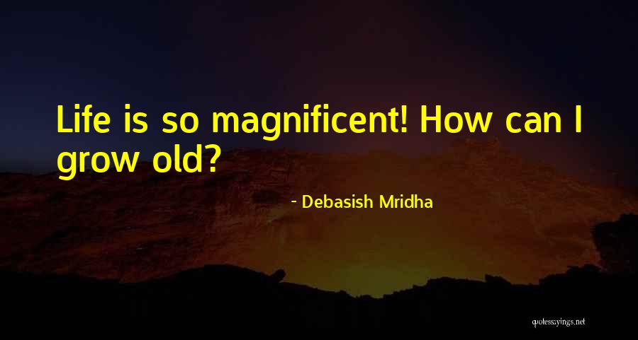 Life Is Magnificent Quotes By Debasish Mridha Life Is Magnificent Quotes By Debasish Mridha