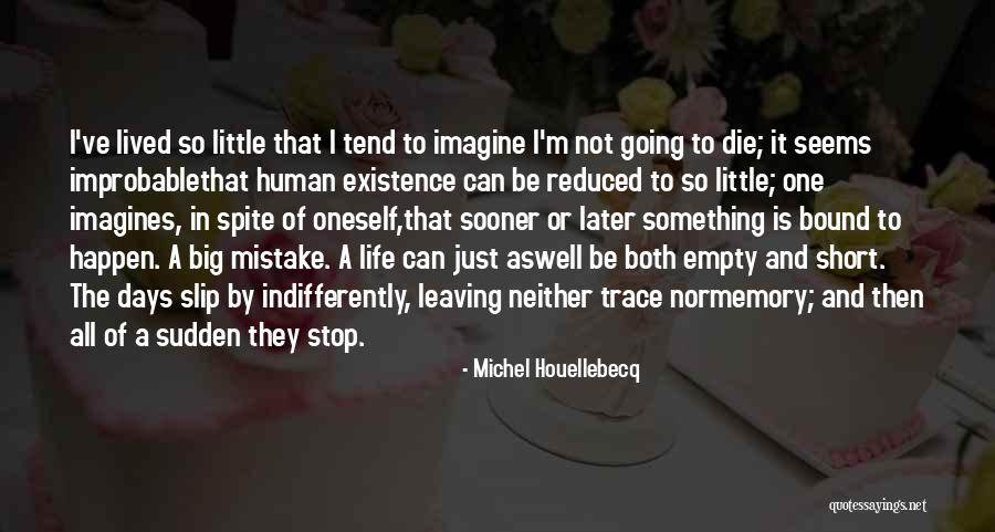 Life Is Mistake Quotes By Michel Houellebecq Life Is Mistake Quotes By Michel Houellebecq