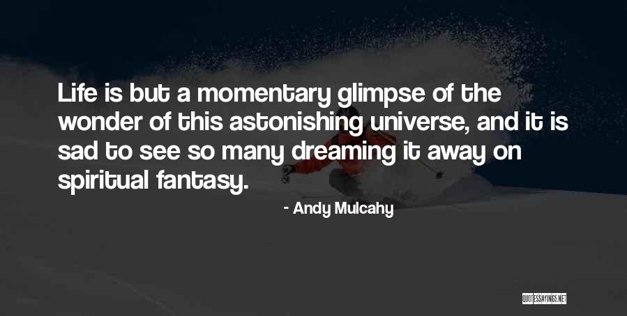Life Is Momentary Quotes By Andy Mulcahy