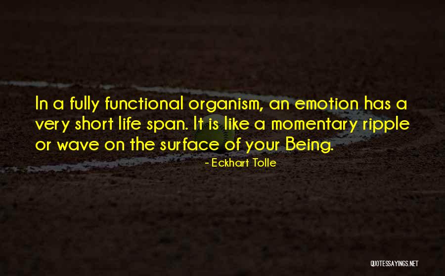Life Is Momentary Quotes By Eckhart Tolle