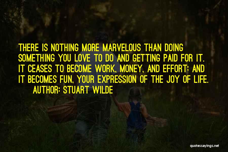 Life Is More Fun Quotes By Stuart Wilde