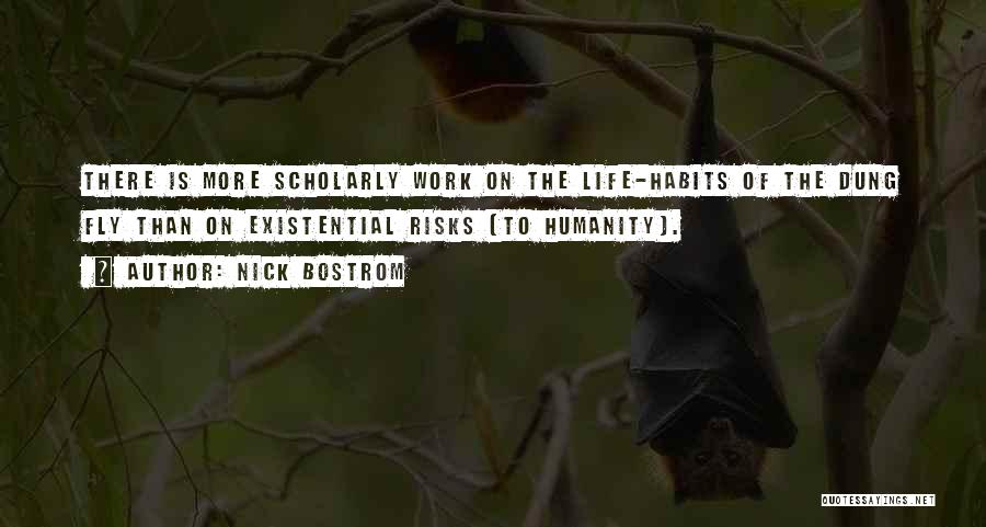 Life Is More Than Work Quotes By Nick Bostrom