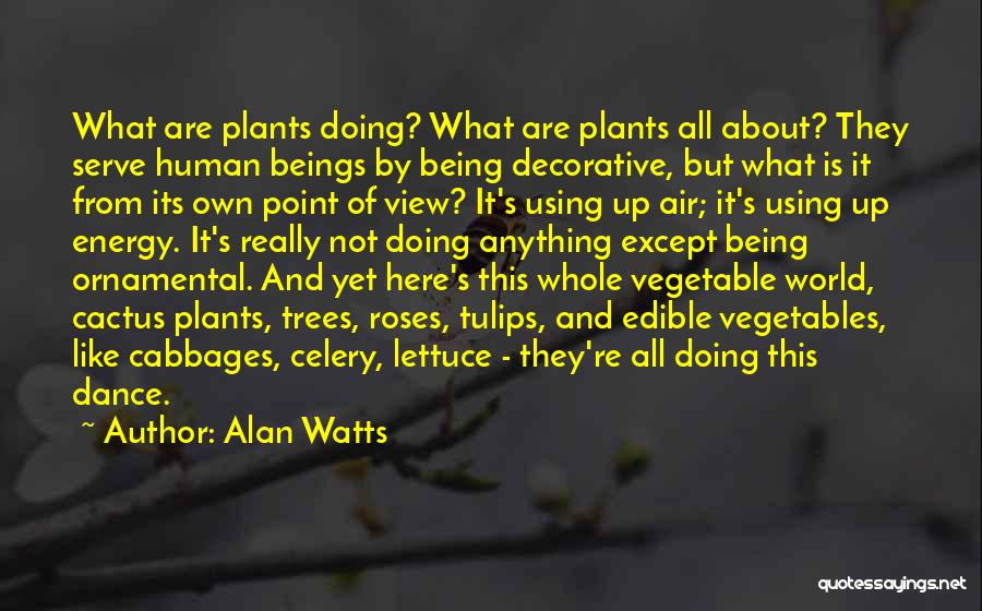 Life Is Not All About Quotes By Alan Watts