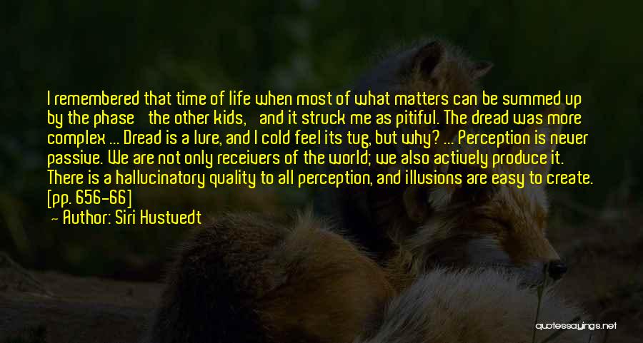 Life Is Not Easy But Quotes By Siri Hustvedt