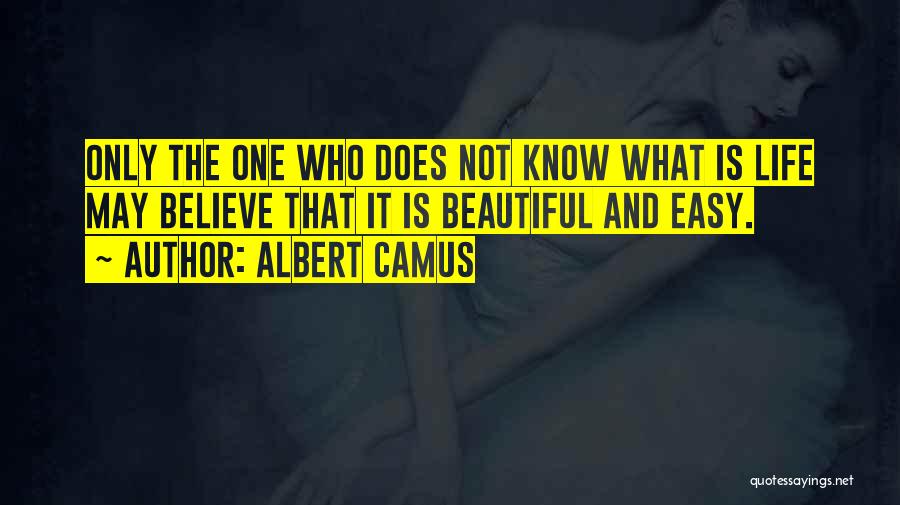 Life Is Not Easy Quotes By Albert Camus