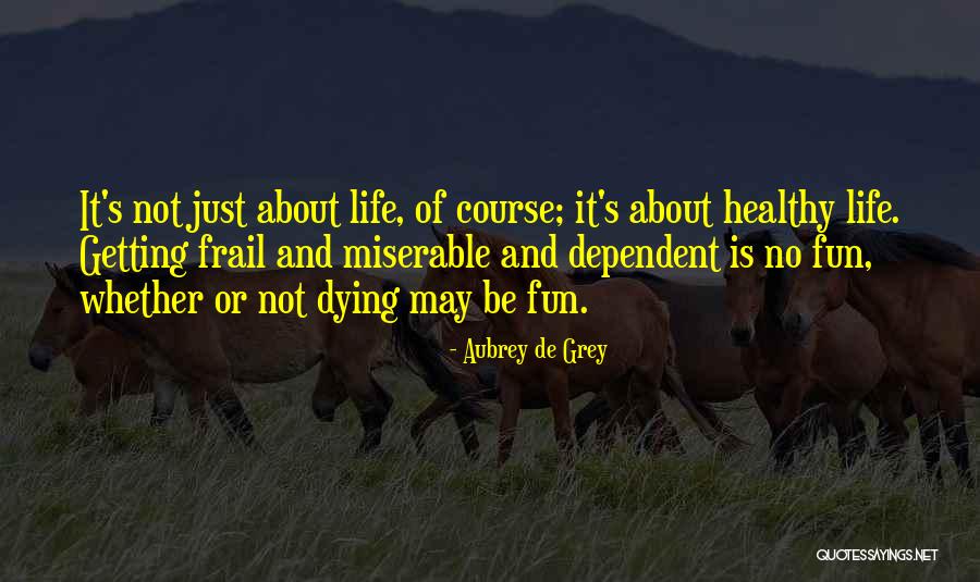 Life Is Not Fun Quotes By Aubrey De Grey