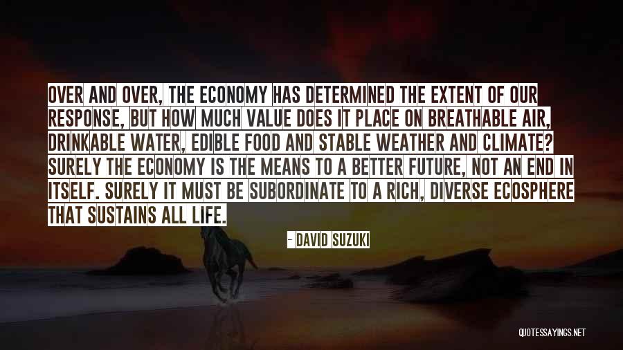 Life Is Not Stable Quotes By David Suzuki