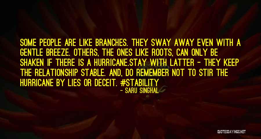 Life Is Not Stable Quotes By Saru Singhal