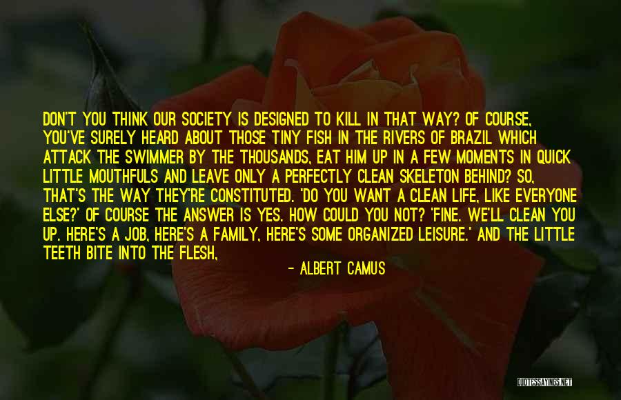 Life Is Not Unfair Quotes By Albert Camus Life Is Not Unfair Quotes By Albert Camus