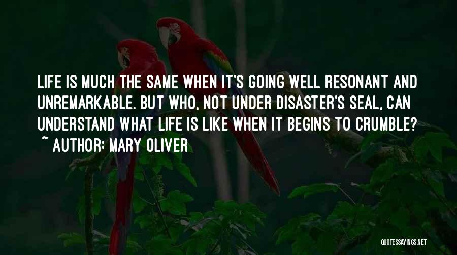 Life Is Not What Is It Quotes By Mary Oliver