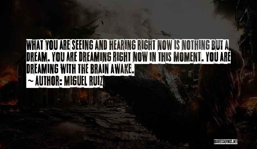 Life Is Nothing But A Dream Quotes By Miguel Ruiz