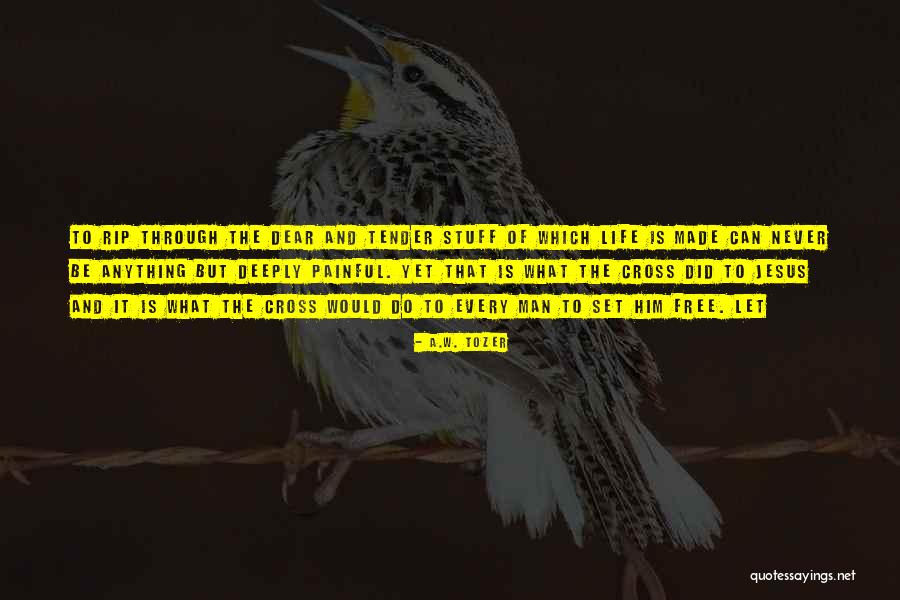 Life Is Painful Quotes By A.W. Tozer Life Is Painful Quotes By A.W. Tozer