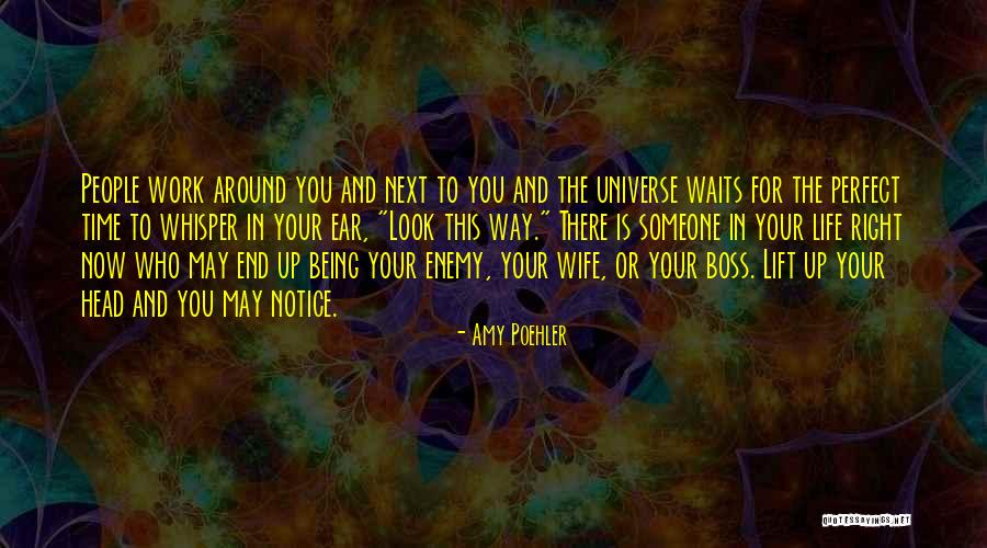Life Is Perfect Now Quotes By Amy Poehler Life Is Perfect Now Quotes By Amy Poehler