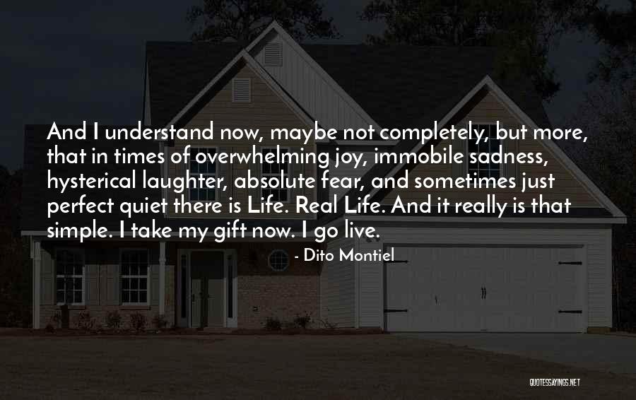 Life Is Perfect Now Quotes By Dito Montiel Life Is Perfect Now Quotes By Dito Montiel