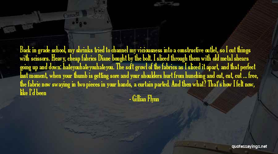 Life Is Perfect Now Quotes By Gillian Flynn