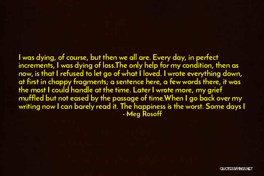 Life Is Perfect Now Quotes By Meg Rosoff Life Is Perfect Now Quotes By Meg Rosoff
