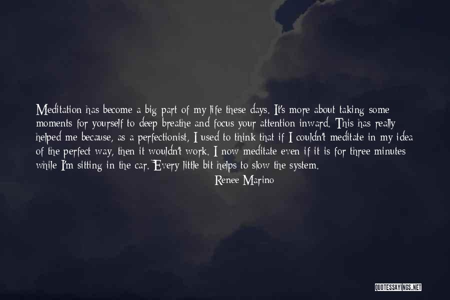 Life Is Perfect Now Quotes By Renee Marino Life Is Perfect Now Quotes By Renee Marino