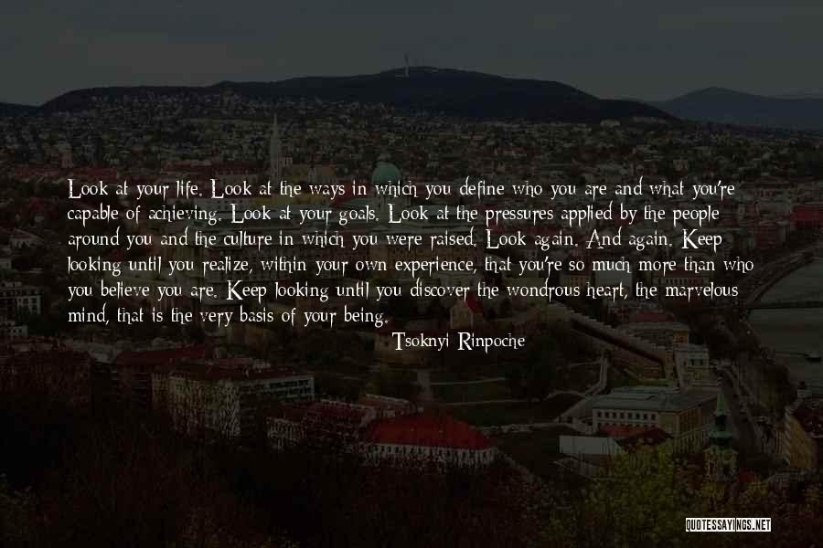 Life Is Quotes By Tsoknyi Rinpoche