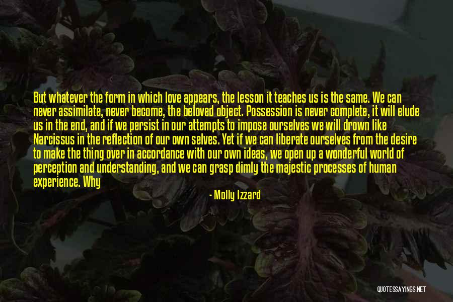 Life Is Reflection Quotes By Molly Izzard Life Is Reflection Quotes By Molly Izzard