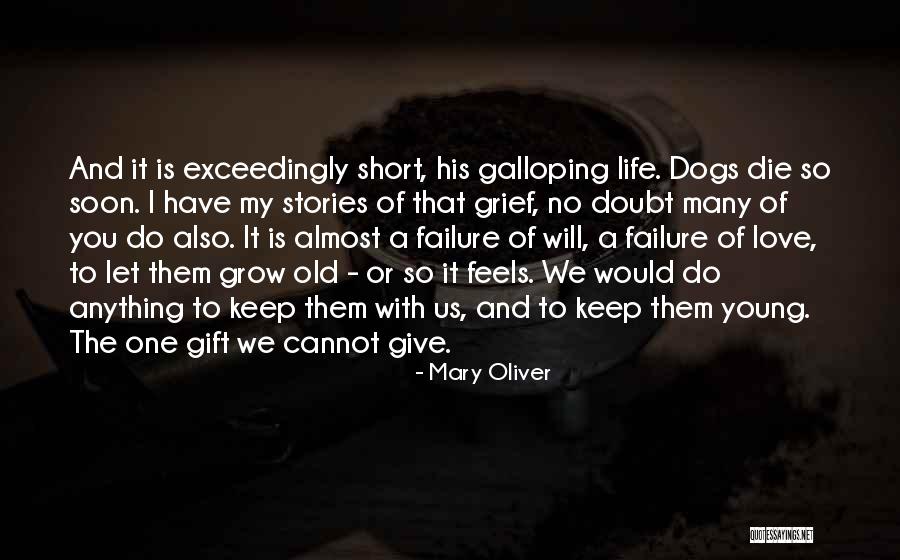 Life Is Short And Love Quotes By Mary Oliver