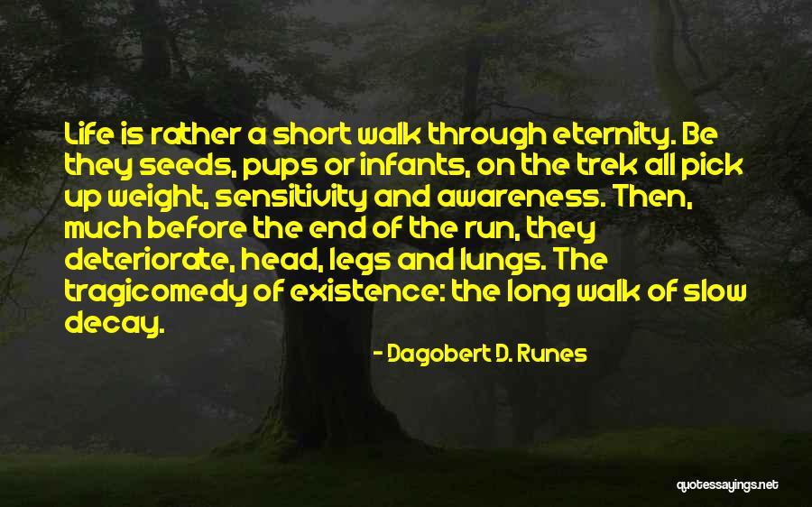 Life Is Short Then Quotes By Dagobert D. Runes Life Is Short Then Quotes By Dagobert D. Runes