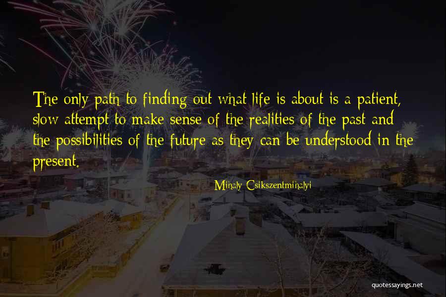 Life Is Slow Quotes By Mihaly Csikszentmihalyi Life Is Slow Quotes By Mihaly Csikszentmihalyi