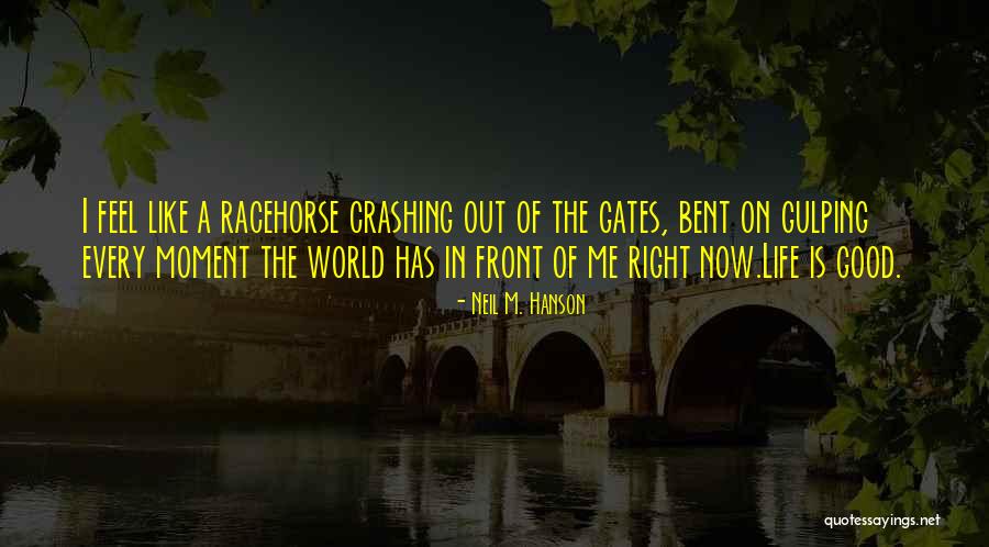Life Is So Good Right Now Quotes By Neil M. Hanson