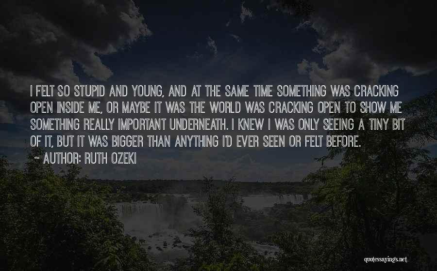 Life Is So Much Bigger Quotes By Ruth Ozeki Life Is So Much Bigger Quotes By Ruth Ozeki