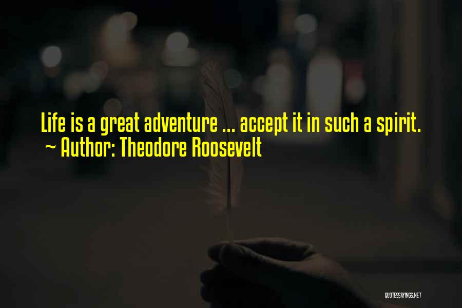 Life Is Such Quotes By Theodore Roosevelt