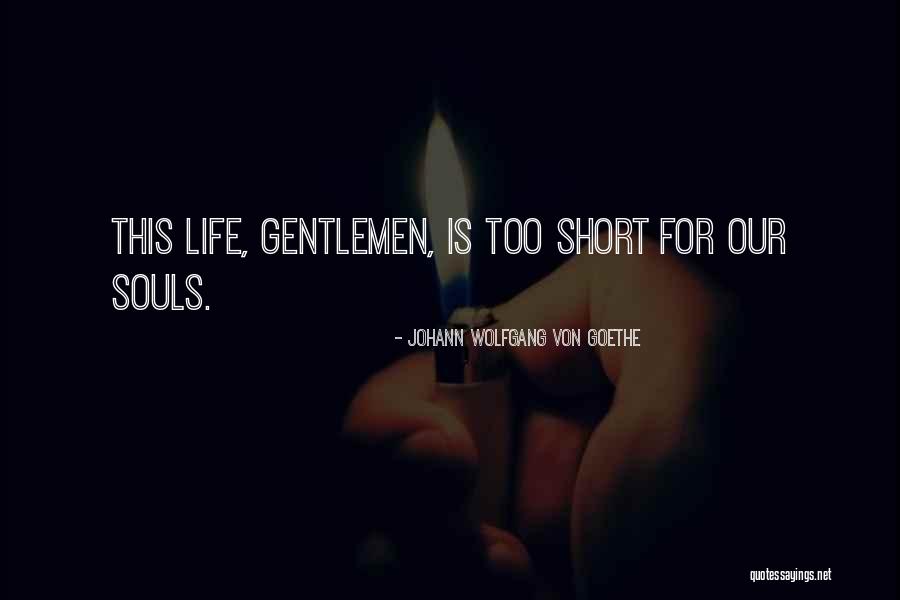 Life Is Too Short For Quotes By Johann Wolfgang Von Goethe