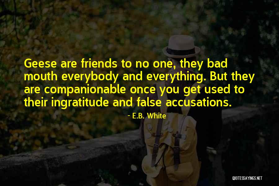 Life Is Too Short To Blend In Quotes By E.B. White Life Is Too Short To Blend In Quotes By E.B. White