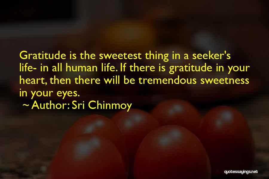 Life Is Tremendous Quotes By Sri Chinmoy