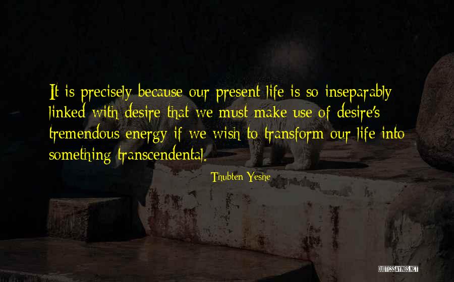 Life Is Tremendous Quotes By Thubten Yeshe