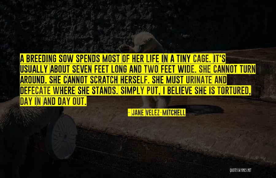 Life Is Turn Around Quotes By Jane Velez-Mitchell Life Is Turn Around Quotes By Jane Velez-Mitchell